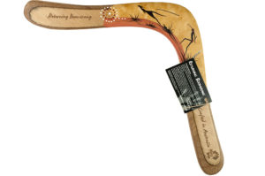 Sports Boomerang - Hand Painted